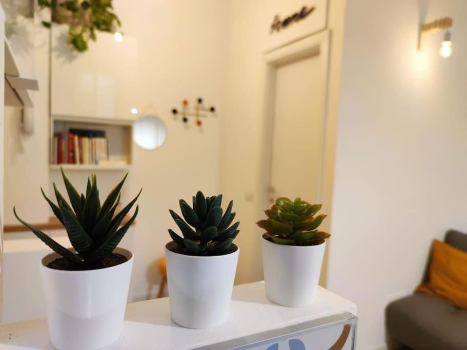 Da Rosa E Pier - Charming Central Apartment Milano Eksteriør billede