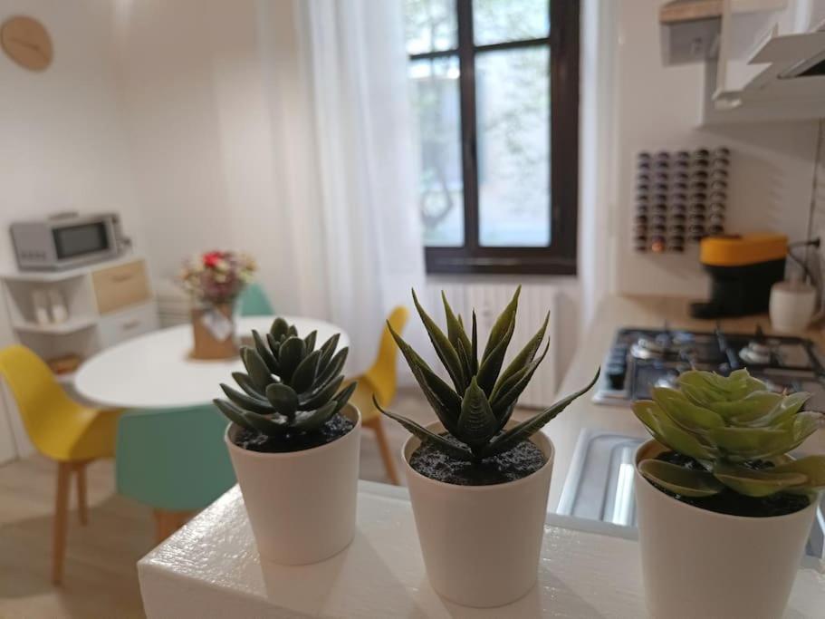 Da Rosa E Pier - Charming Central Apartment Milano Eksteriør billede